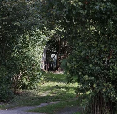 Turun vainajapakastaja