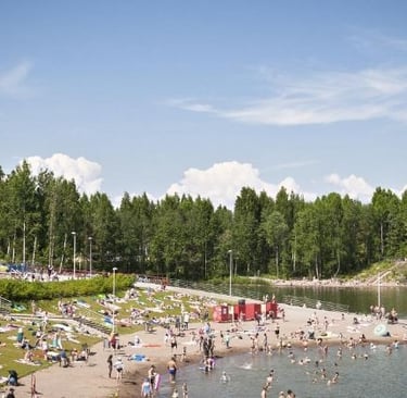 Vibrioositapaukset Suomessa