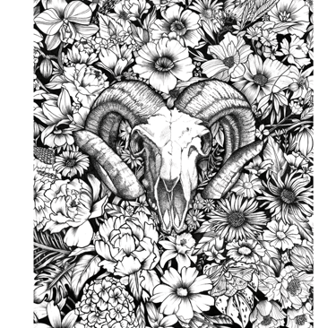Dessin à l'encre de Chine d'un crane dans un champs de fleurs 