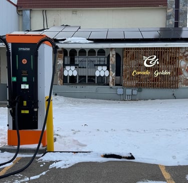 Unable to start this fast charger