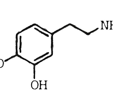 Learn what a dopamine detox really means, how it works, and the process to reset your brain