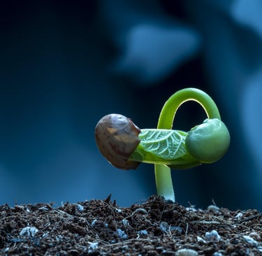 A new year always brings fresh motivation, but real transformation comes from small habits