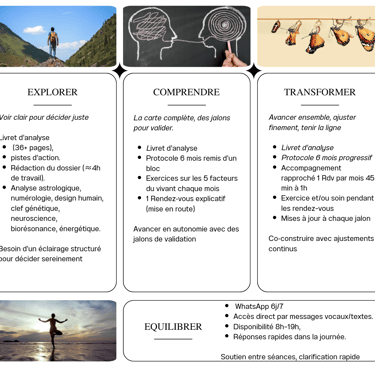 protocole thérapeute pleine santé