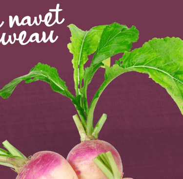 crédit photo : Agence Bio