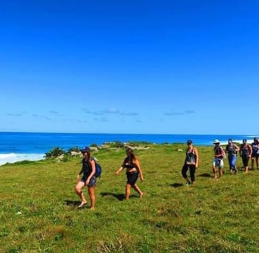 Happy Hikers