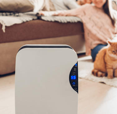 a woman sitting on a couch with a cat