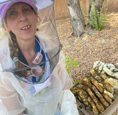 Betsy Lewis from Vegas Bees