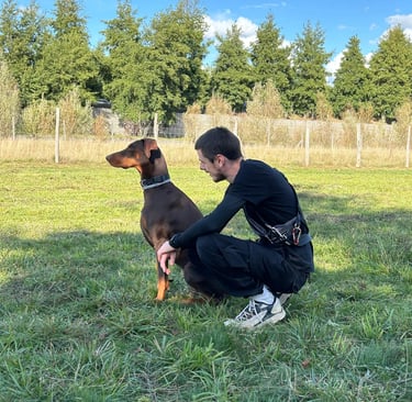 Un doberman marron est assis à côté d'un homme dans un champ pendant un entraînement d'obeissance