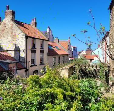 View from SAAC garden