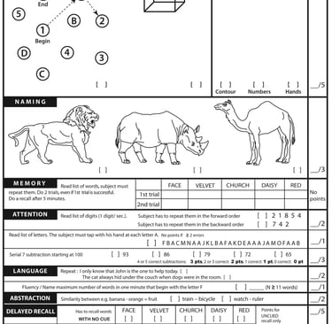 Montreal Cognitive Assessment 