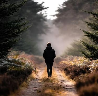 Greg Rowland walks a wooded trail in early morning fog.
