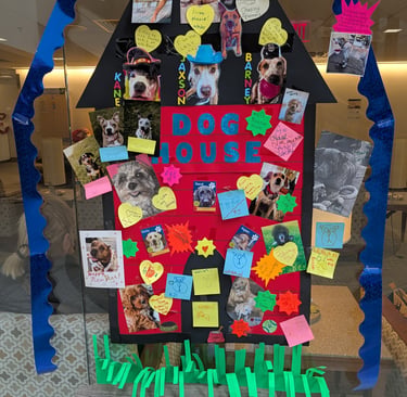dog photo display at Duke Cancer Center
