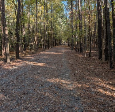 Carolina North Forest Chapel Hill North Carolina