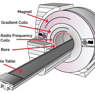 Illustation of the key parts of an MRI machine