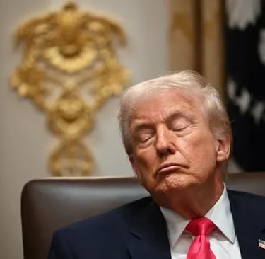 Donal Trump sleeping during a meeting