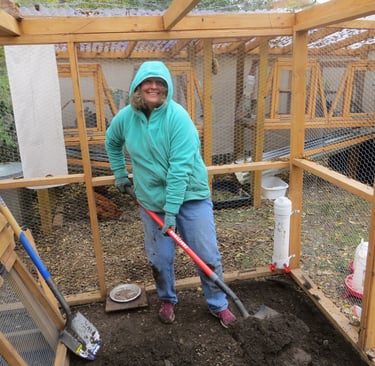 Rat proofing the chicken coop