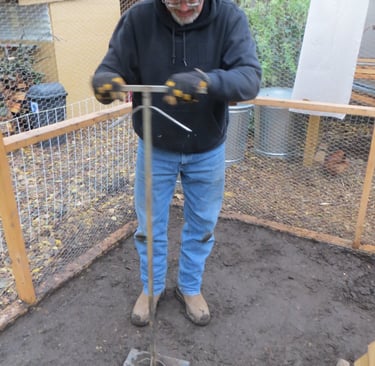 Rat proofing the chicken coop