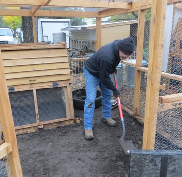 Rat proofing the chicken coop