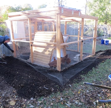 Rat proofing the chicken coop