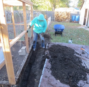 Rat proofing the chicken coop