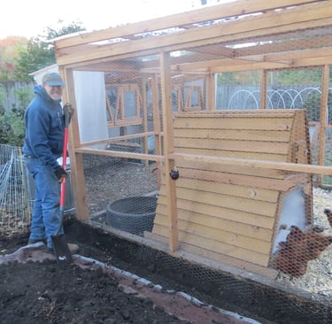 Rat proofing the chicken coop