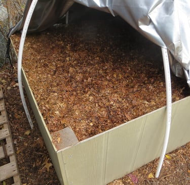 Our leaf mold container.