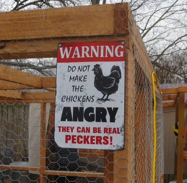 chicken sign warning do not make the chickens angry they can be real peckers!