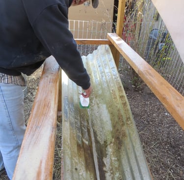Cleaning cages.