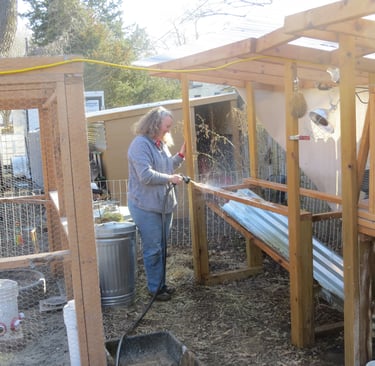 Cleaning cages.
