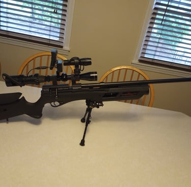 Pellet gun with night scope