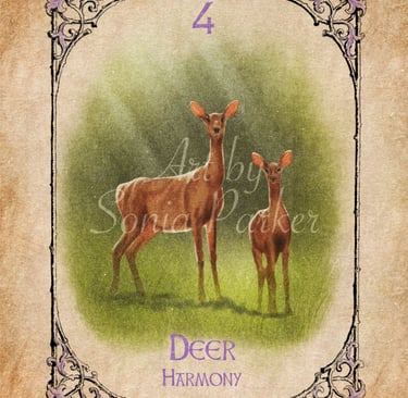Deer from the Animal Spirit Oracle deck