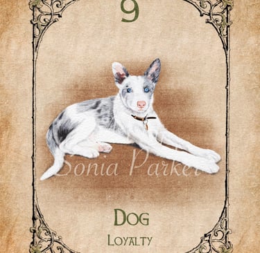 Dog from the Animal Spirit Oracle deck
