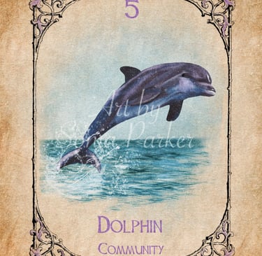Dolphin from the Animal Spirit Oracle deck