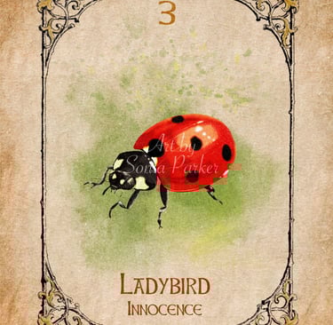 Ladybird from the Animal Spirit Oracle deck
