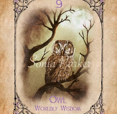 Owl from the Animal Spirit Oracle deck