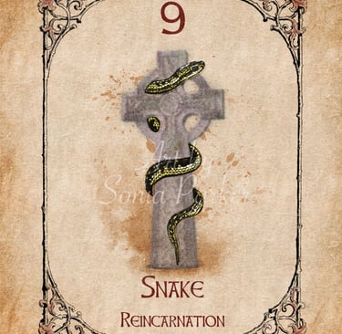 Snake from the Animal Spirit Oracle deck