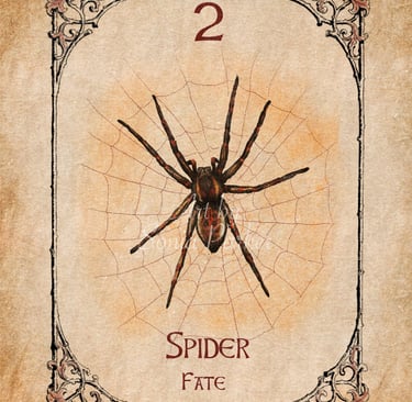 Spider from the Animal Spirit Oracle deck