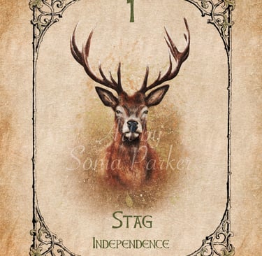 Stag from the Animal Spirit Oracle deck