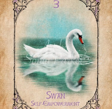 Swan from the Animal Spirit Oracle deck