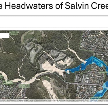 map of Salvin Creek headwaters 