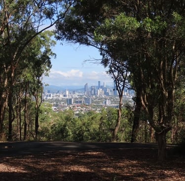 view of Brisbane city skyline from whites hill summit lookout