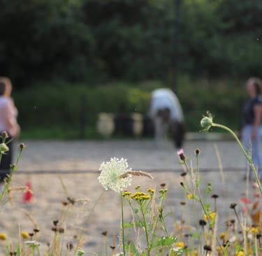 twee vrouwen in de paardenweide met een paard en pionen