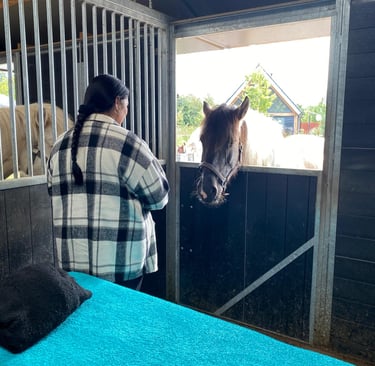 Behandeltafel in de stal met een klant die er naast staat en een paard dat naar binnen kijkt