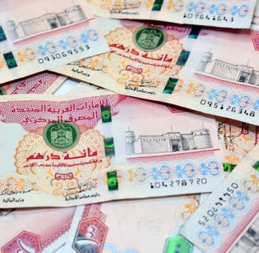 Arabic currency notes with green emblem, illustrating financial support through UAE government 