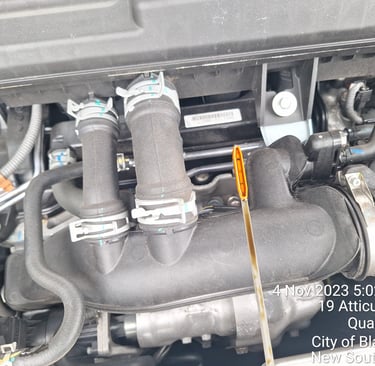 Prepurchase Car Inspection Bronte