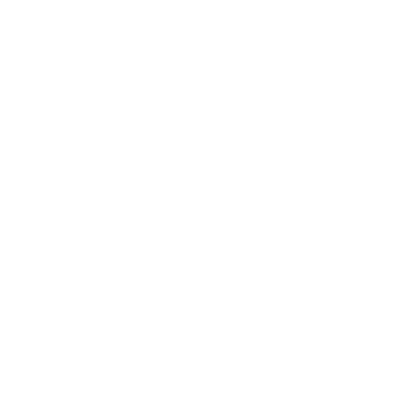 logo Céline Naud psychanalyste