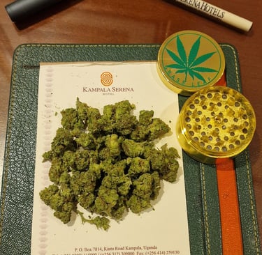 Weed in Kampala Uganda 2026