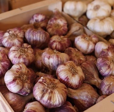 recette ail violet drome