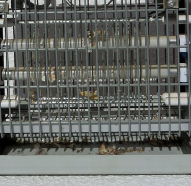 a bug zapper with dead insects electrocuted