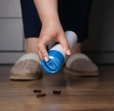 a person spraying diy aerosol onto cockroaches